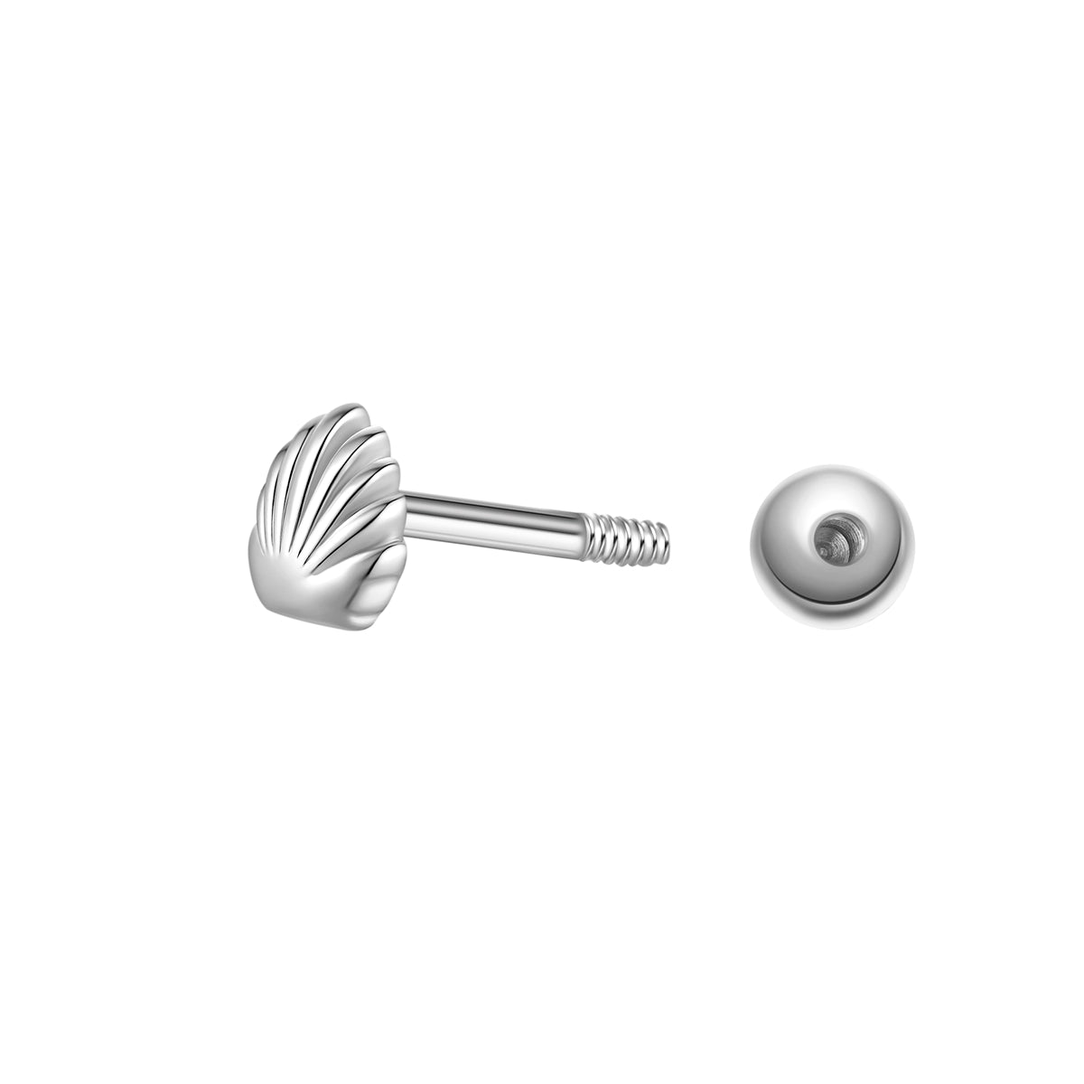 Glanzstücke München Muschel piercing hopea