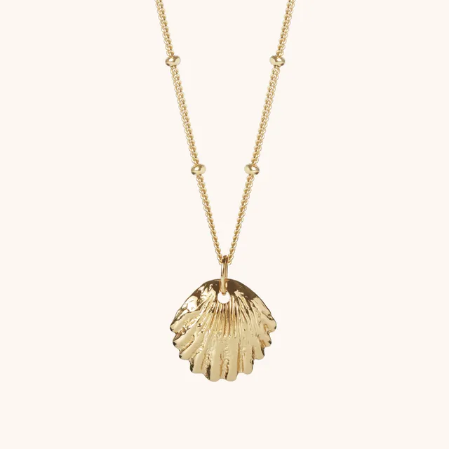 Muru Jewellery Shell kaulakoru 16" kultavermeil