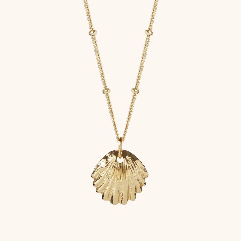 Muru Jewellery Shell kaulakoru 16" kultavermeil