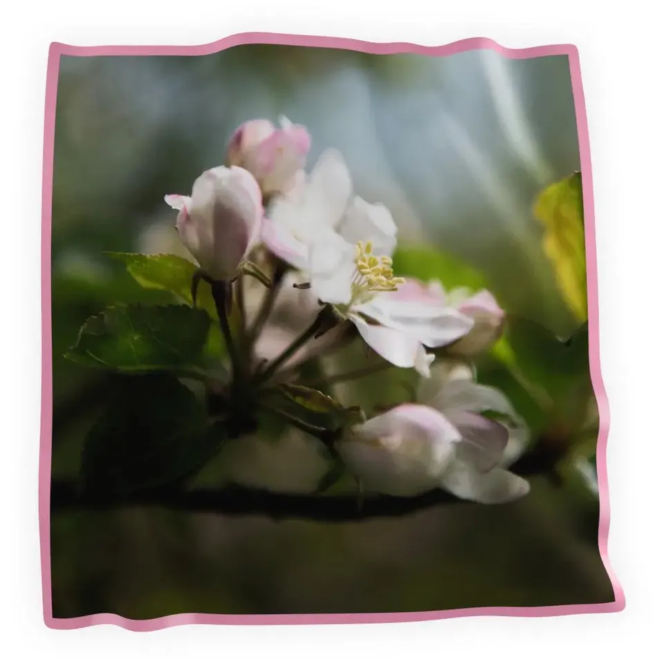 Guldvivan Omenankukka huivi 90x90 silkki kukka