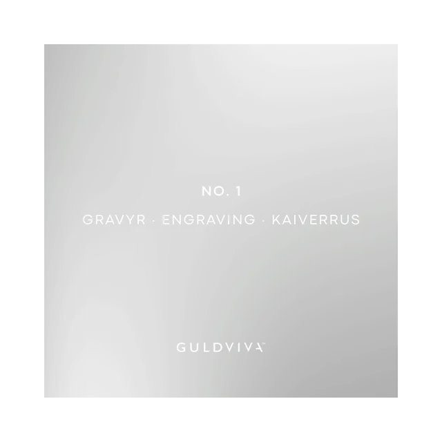 Guldvivan Kaiverrus vaihtoehto 1 etupuoli