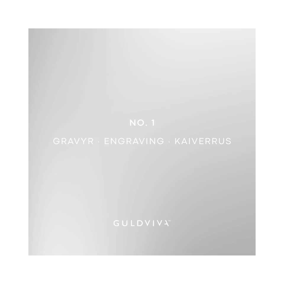 Guldvivan Kaiverrus vaihtoehto 1 etupuoli