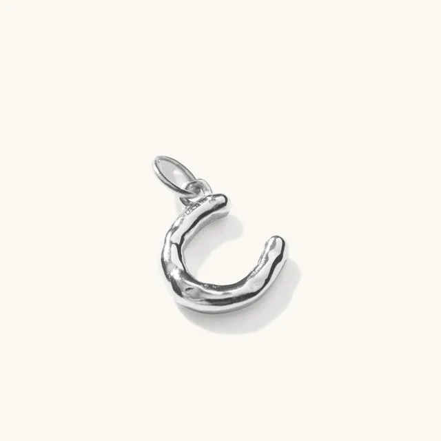Muru Jewellery Horseshoe Pendant riipus hopea