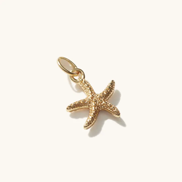 Muru Mini Starfish riipus kullattu meritahti