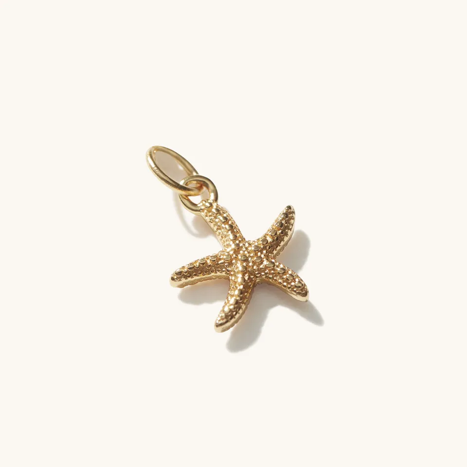 Muru Mini Starfish riipus kullattu meritahti