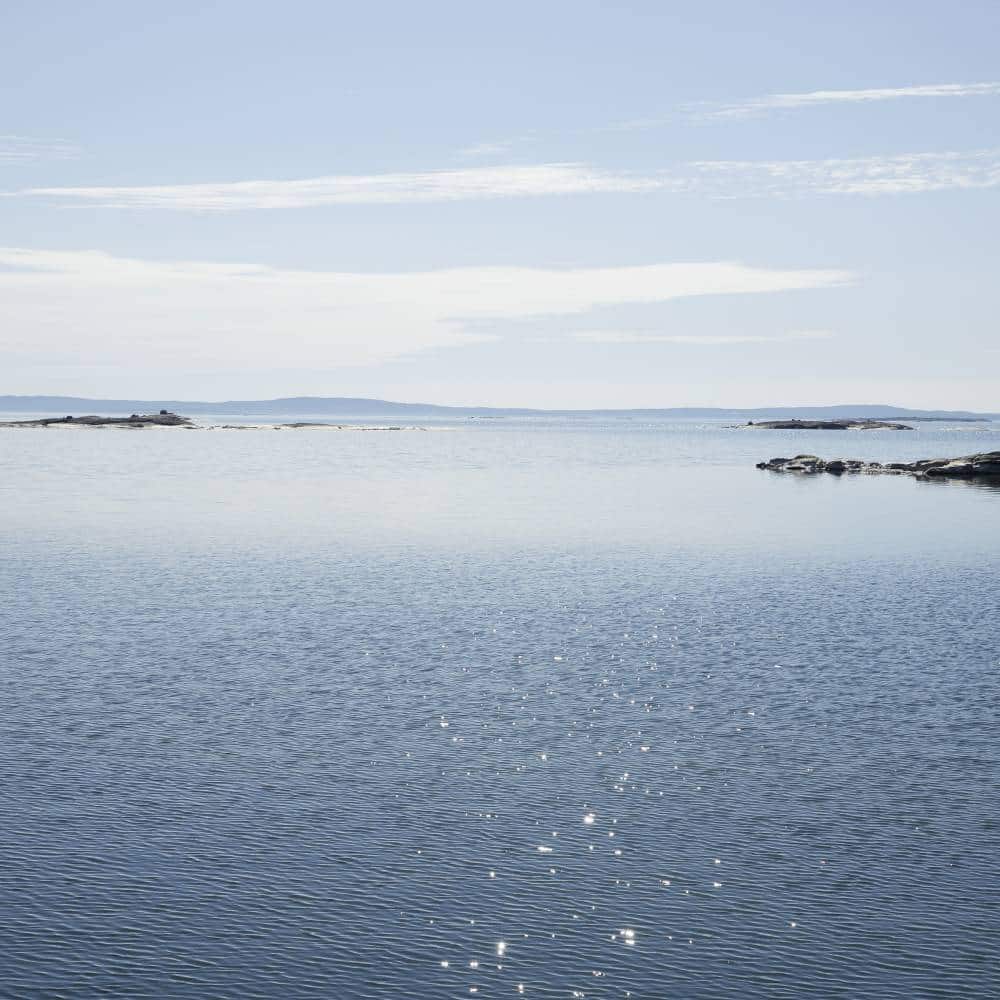 Guldvivan Sandmussla XS nilkkakoru hopea 24 cm